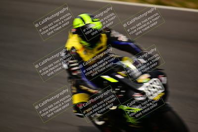 media/Feb-16-2024-CRA (Fri) [[3bc3e7055d]]/Group B/Session 5 (Turn 4)/